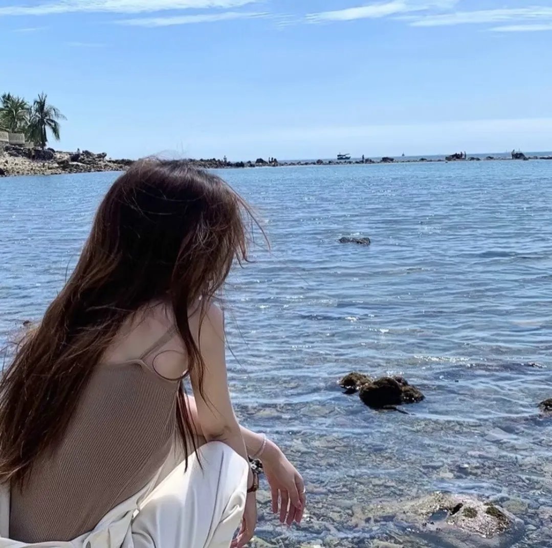 樱花律师 海报